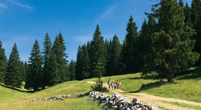 Apartment in Prémanon
