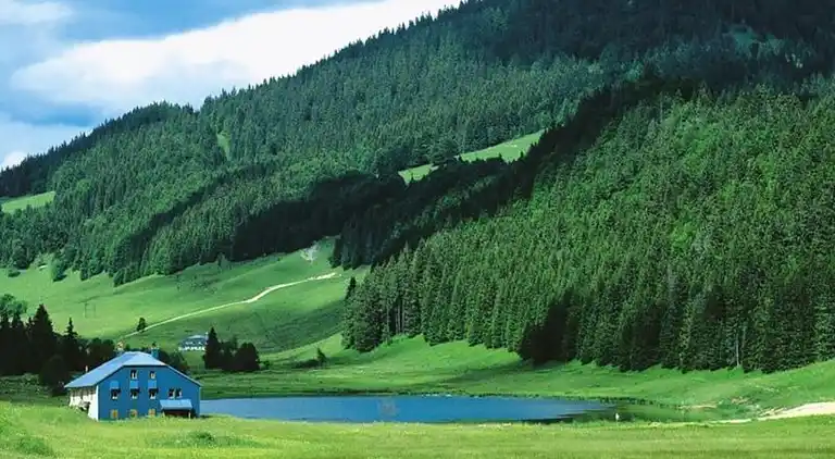 Apartment in Prémanon