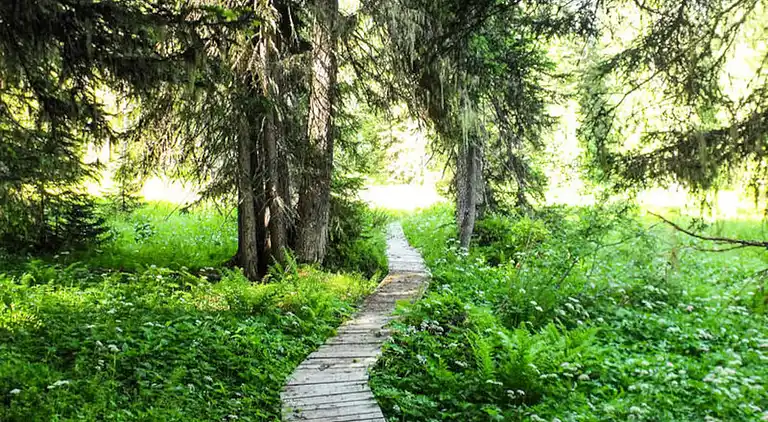 Ferienwohnung in Flumet