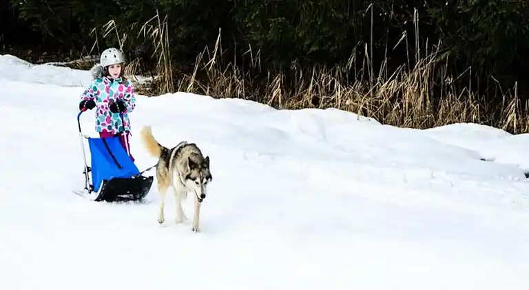 Ferienwohnung in Flumet