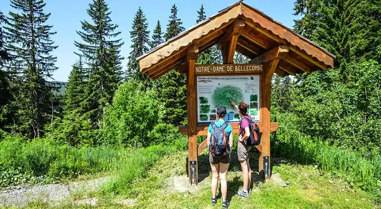 Ferienwohnung in Flumet
