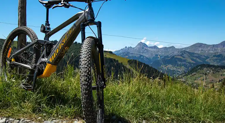 Ferienwohnung in Flumet