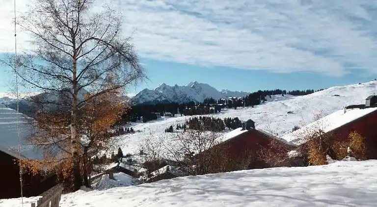 Apartment in Hauteluce