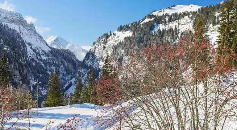 Apartment in Flaine