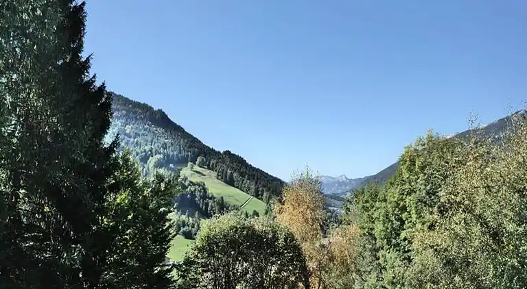 Apartment in Le Grand-Bornand