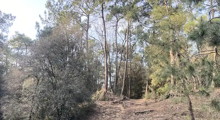 Ferienwohnung in Les Sables-d'Olonne