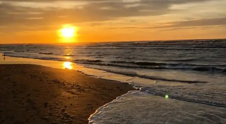 Apartment in Zandvoort