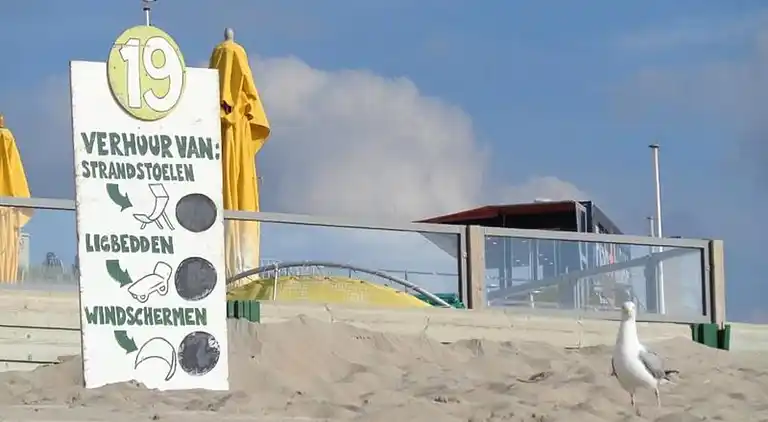 Apartment in Zandvoort