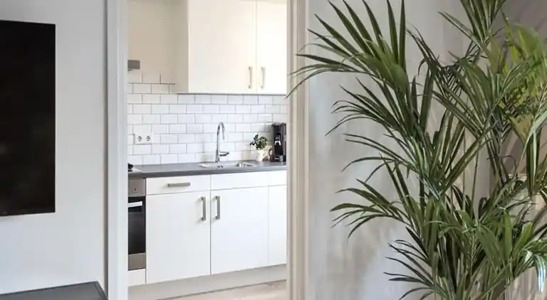 Apartment in Zandvoort