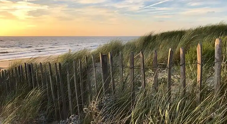 Apartment in Zandvoort