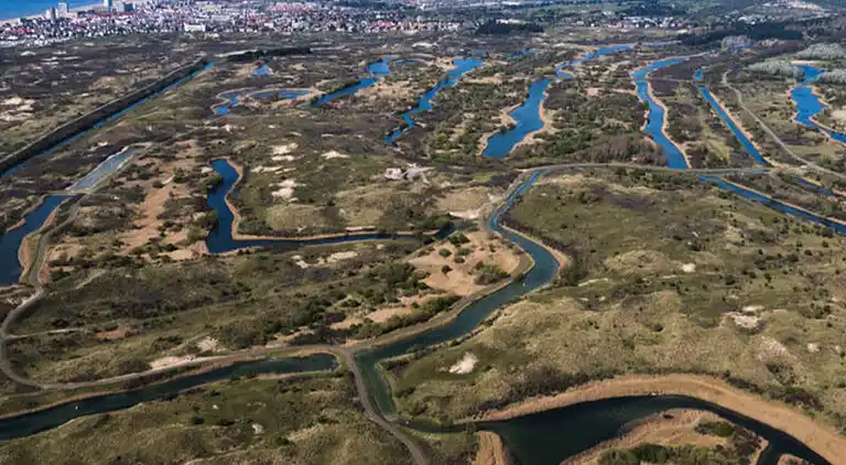 Apartment in Zandvoort