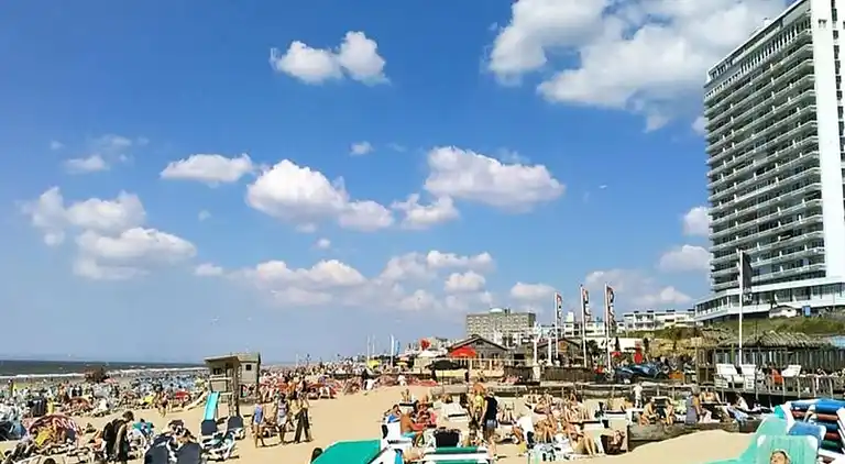 Apartment in Zandvoort