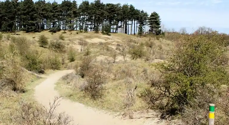 Apartment in Zandvoort