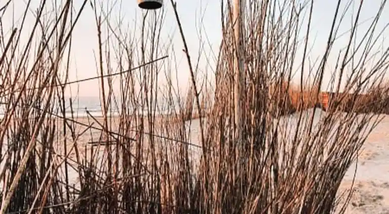 Ferienwohnung in Zandvoort