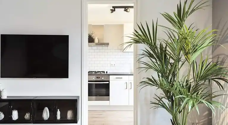 Apartment in Zandvoort