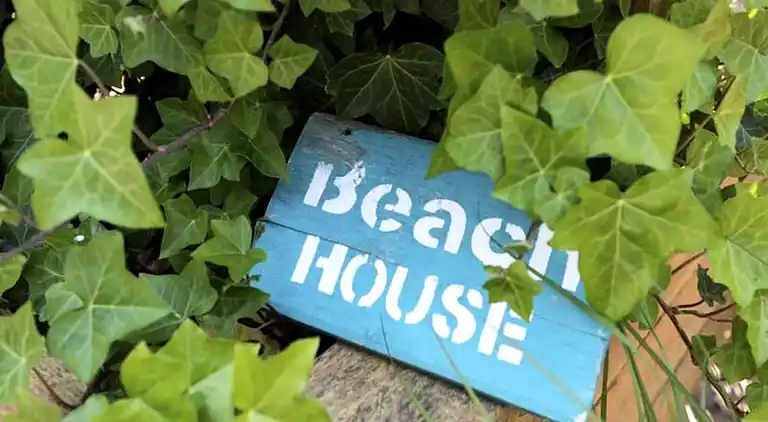 Ferienwohnung in Zandvoort