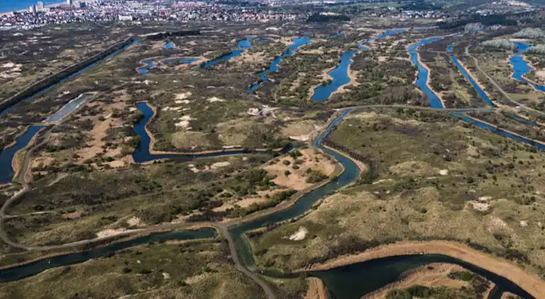 Apartment in Zandvoort