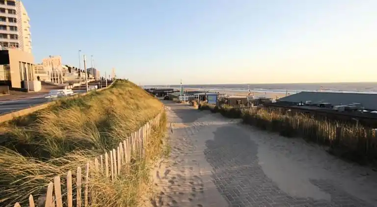 Apartment in Zandvoort