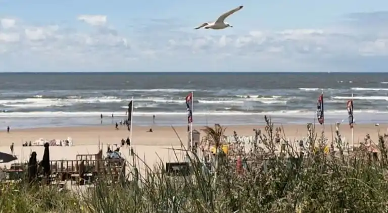 Apartment in Zandvoort