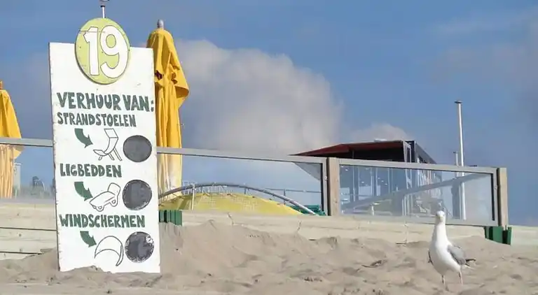 Apartment in Zandvoort