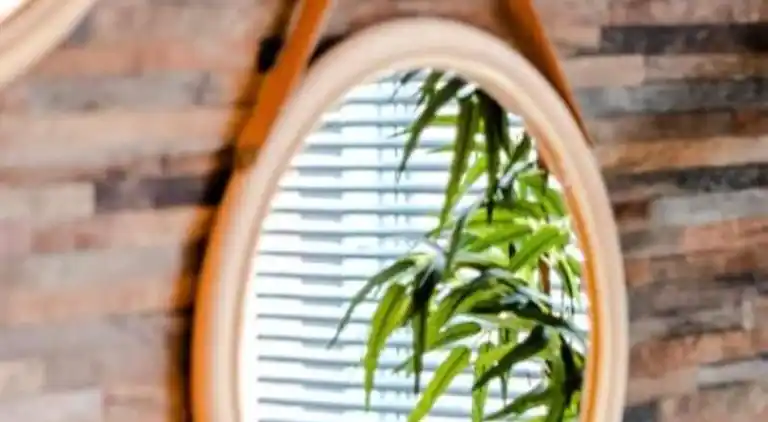 Apartment in Zandvoort