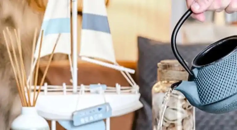 Apartment in Zandvoort