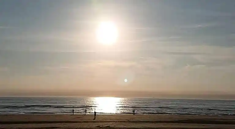 Apartment in Zandvoort