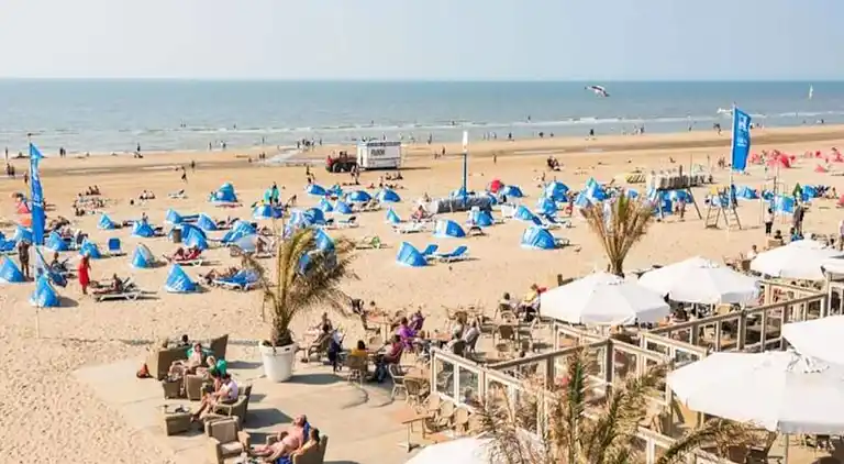 Apartment in Zandvoort