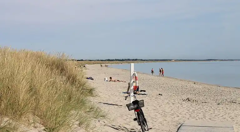 Rummeligt sommerhus med pool og aktiviteter