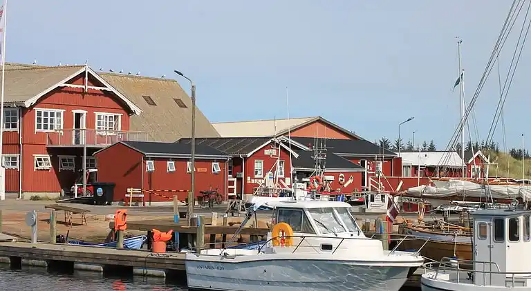 Rummeligt sommerhus med pool og aktiviteter