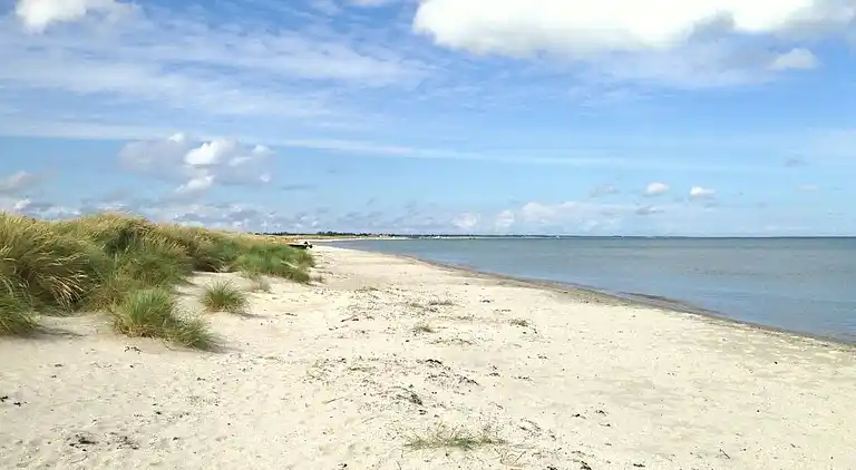 Rummeligt sommerhus med pool og aktiviteter