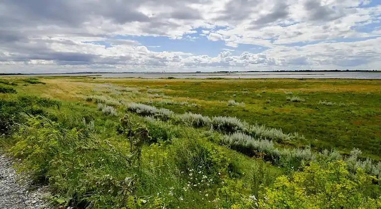 Sommerhus ved Hasmark Strand