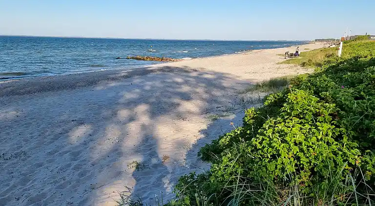 Sommerhus ved Hasmark Strand