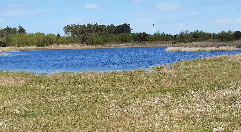 Sommerhus ved Hasmark Strand