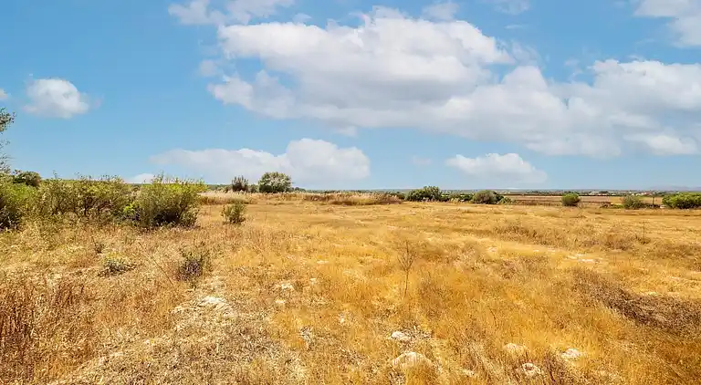 Cottage in El Palmer
