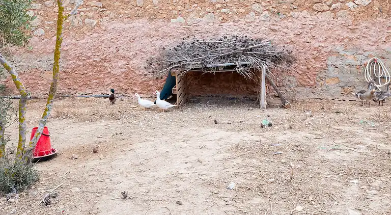 Cottage in El Palmer