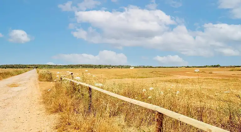 Cottage in El Palmer