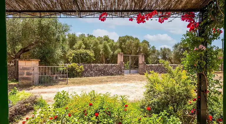 Cottage in El Palmer