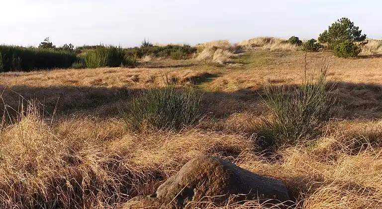 Feriebolig i Store Fuglede