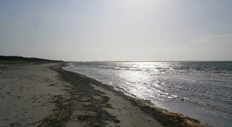 Feriebolig i Store Fuglede