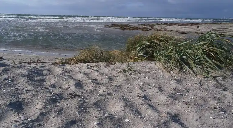 Feriebolig i Store Fuglede