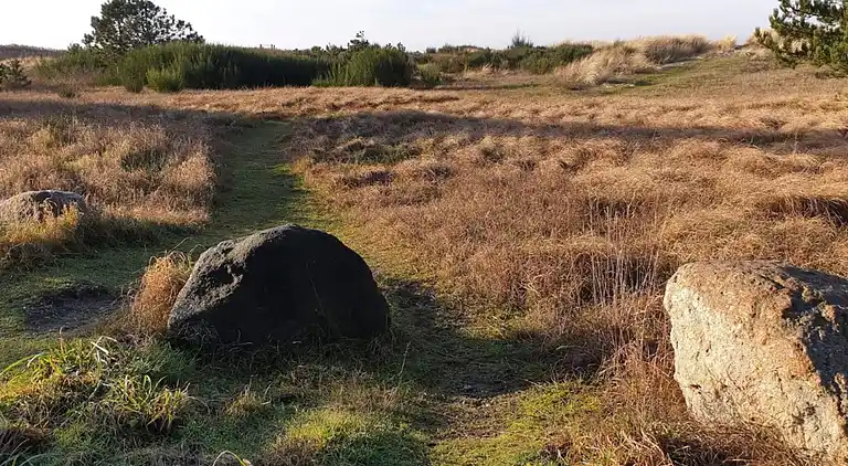 Feriebolig i Store Fuglede
