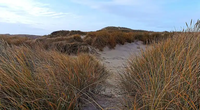 Casa vacanze in Bork Havn