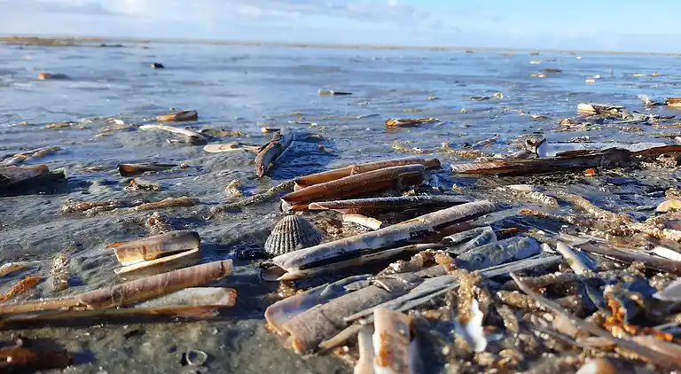 Holiday home on Fanø