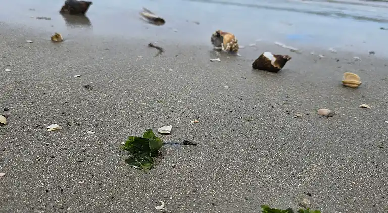 Holiday home on Fanø