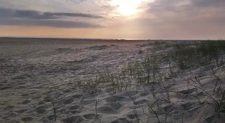 Feriebolig ved Rindby Strand