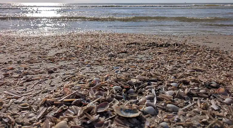 Feriebolig ved Rindby Strand