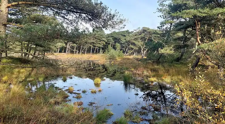 Holiday home in Havneby