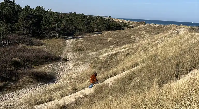 Sommerhus i naturen med ro, pejs og have