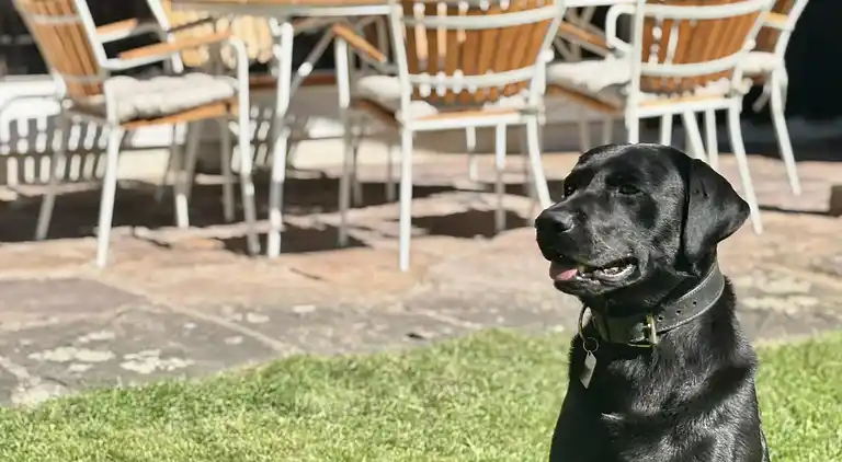 Sommerhus i naturen med ro, pejs og have